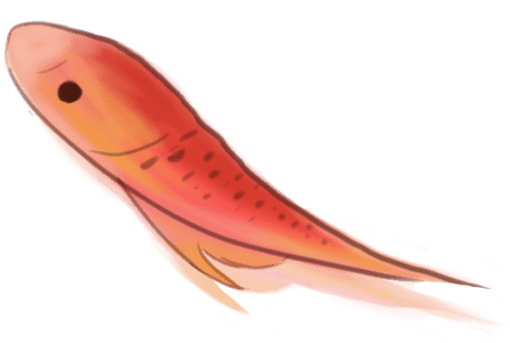 必一|
我的返乡实践故事(图2) 必一|
我的返乡实践故事(图2)