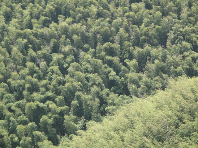 应急管理部:4月至11月在全国开展钢铁企业煤气安全专项治理【b体育】(图1) Bsports必一体育