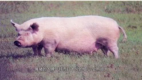 b体育-Boda铜金矿钻探见到更大范围矿化(图1) 必一