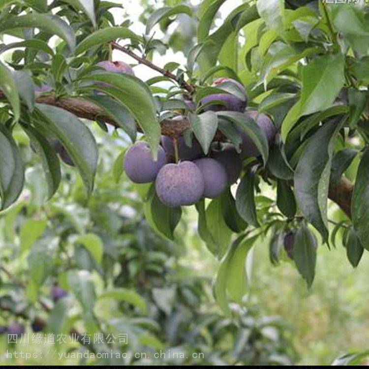 牡丹江市招聘工会社会化专业人才34人通告:Bsports必一体育(图2) Bsports必一体育