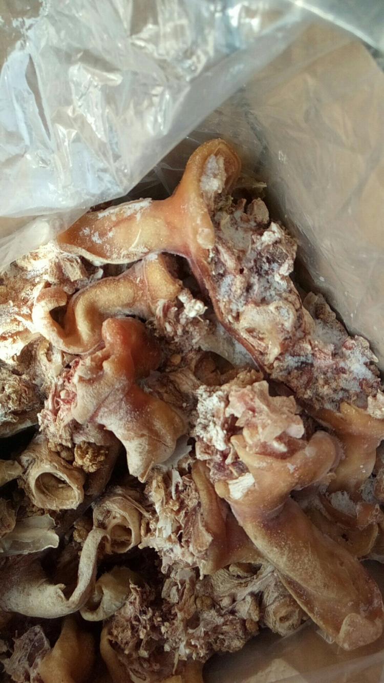 “死亡证难倒活人”暴露候鸟老人的尴尬-必一(图1) Bsports必一体育