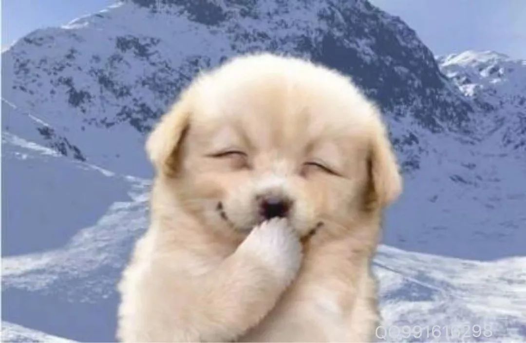 微信:有两样东西 是被拒绝的“b体育”(图1) Bsports必一体育