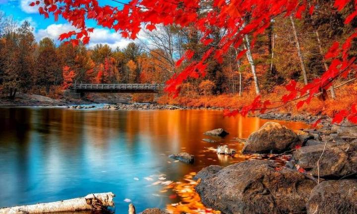 砥砺前行十五载 凝心聚力谱新篇—广西华银铝业有限公司十五年发展纪实-Bsports必一体育(图3) 必一