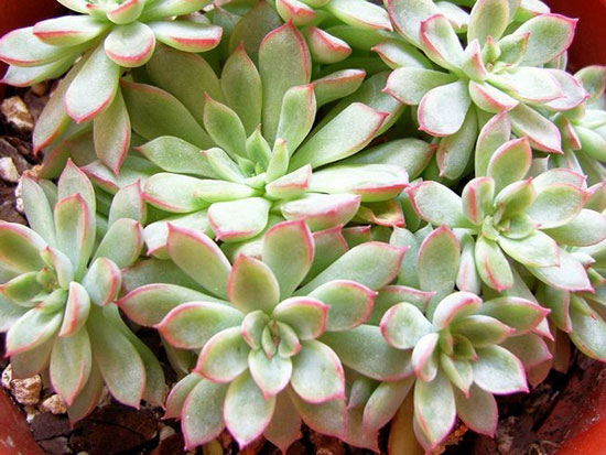 Bsports必一体育|国家统计局发布7月份能源生产情况:煤炭进口增加(图3) Bsports必一体育